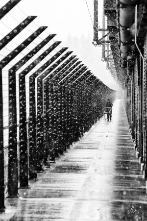  Running the Gauntlet...